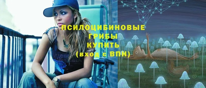 darknet состав  Западная Двина  Псилоцибиновые грибы Psilocybe 